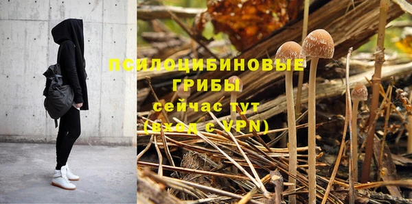 стаф Белоозёрский
