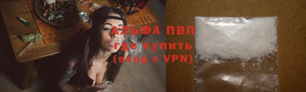 стаф Белоозёрский