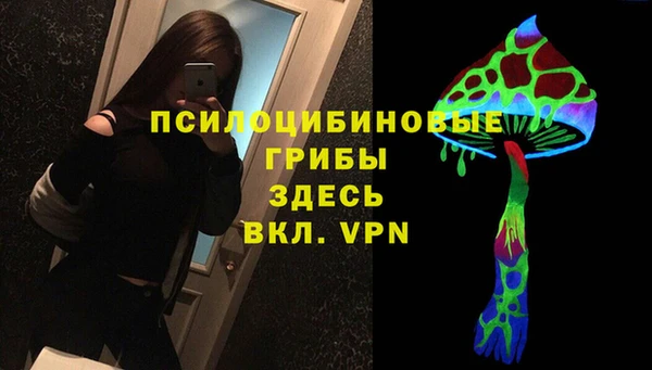 стаф Белоозёрский