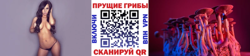 Галлюциногенные грибы Psilocybe  Чкаловск 